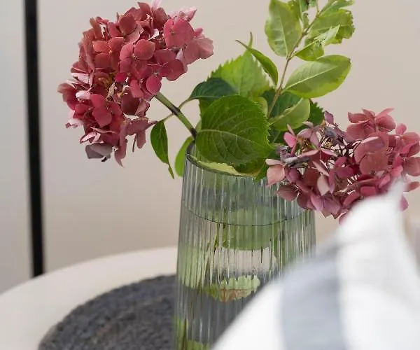 Haus Deichblick 1 Vakantiehuis